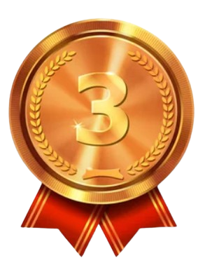 bronze medal